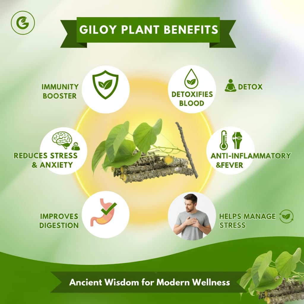 HERBAL GILOY PATCHES | DETOX & METABOLISM BOOST